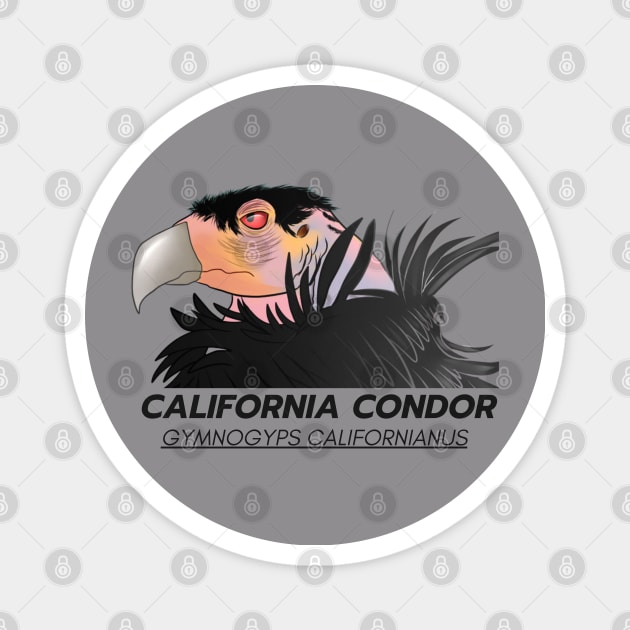 CALIFORNIA CONDOR Magnet by TRACHLUIM